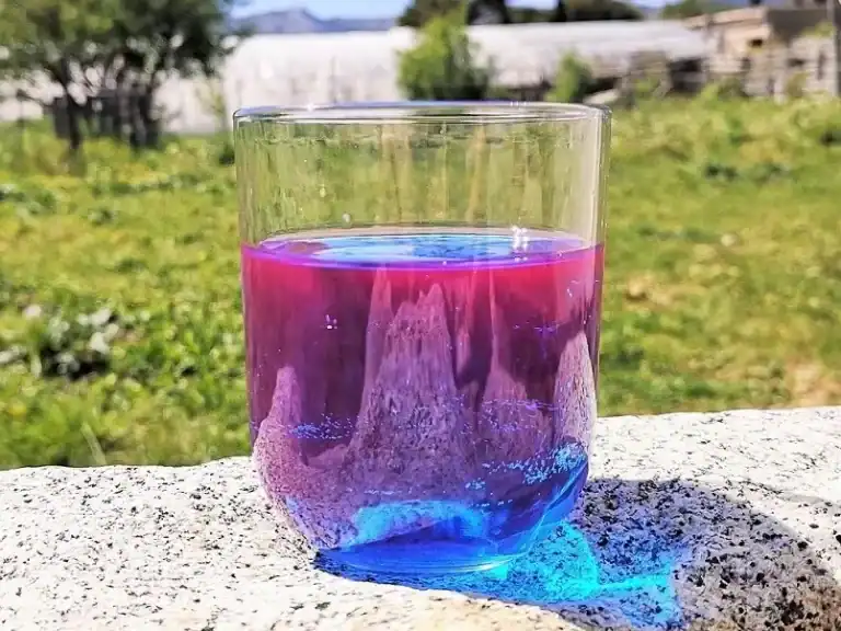 Photo d'un verre de spiruline liquide Performe