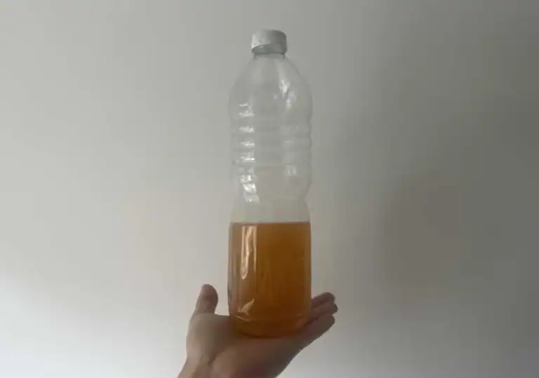 Pre workout AqeeLab Nutrition test avis booster consommable toute heure journee melange conservation miscibilite