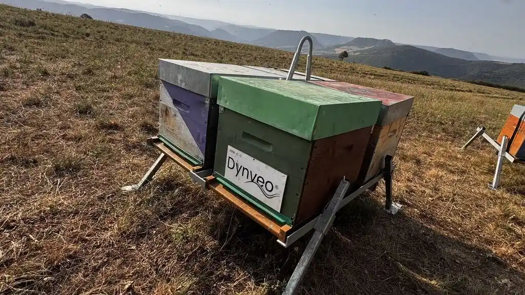 Mon avis produits Dynveo marque hauteur exigences ruche UnToitpourlesabeilles écoresponsable Photo de l'une des ruches que parraine Dynveo pour l'association Un toit pour les abeilles