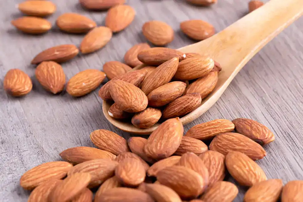 Amandes — calories et valeurs nutritionnelles (glucides, index glycémique)