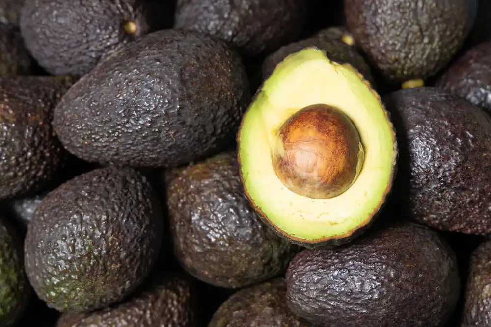 avocat calories valeurs nutritionnelles Avocat â calories et valeurs nutritionnelles (glucides, index glycĂ©mique)