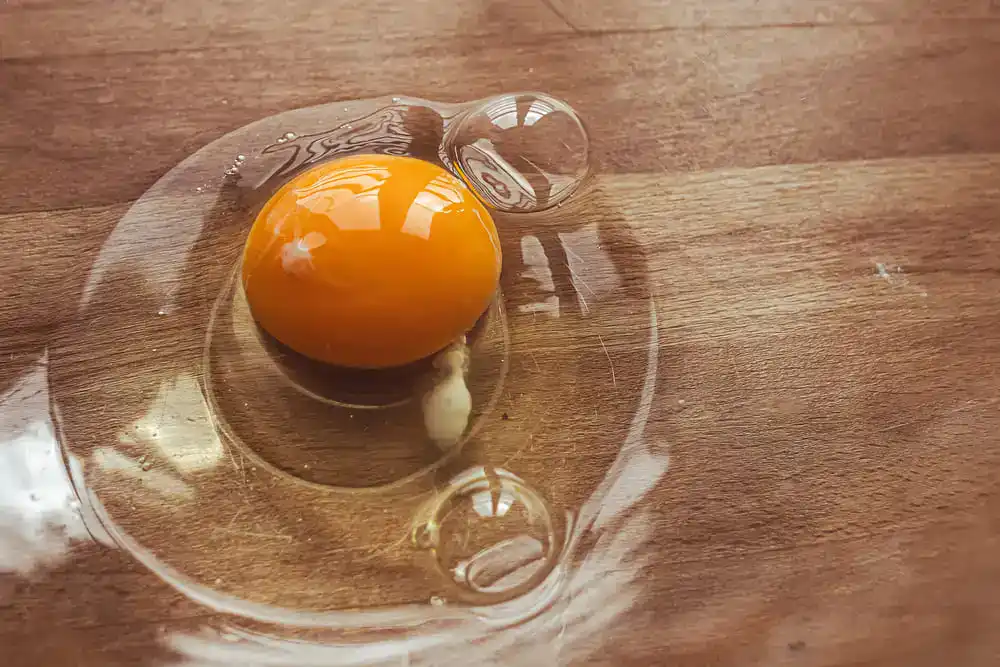 blanc d'Ćuf calories valeurs nutritionnelles Blanc d'Ćuf â calories et valeurs nutritionnelles (protĂ©ines, index glycĂ©mique)