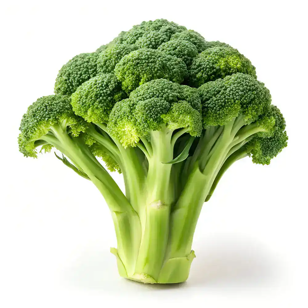 Brocoli — calories et valeurs nutritionnelles (glucides, index glycémique)