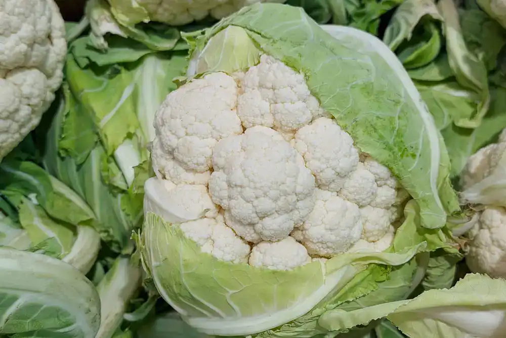Chou-fleur — calories et valeurs nutritionnelles (glucides, index glycémique)