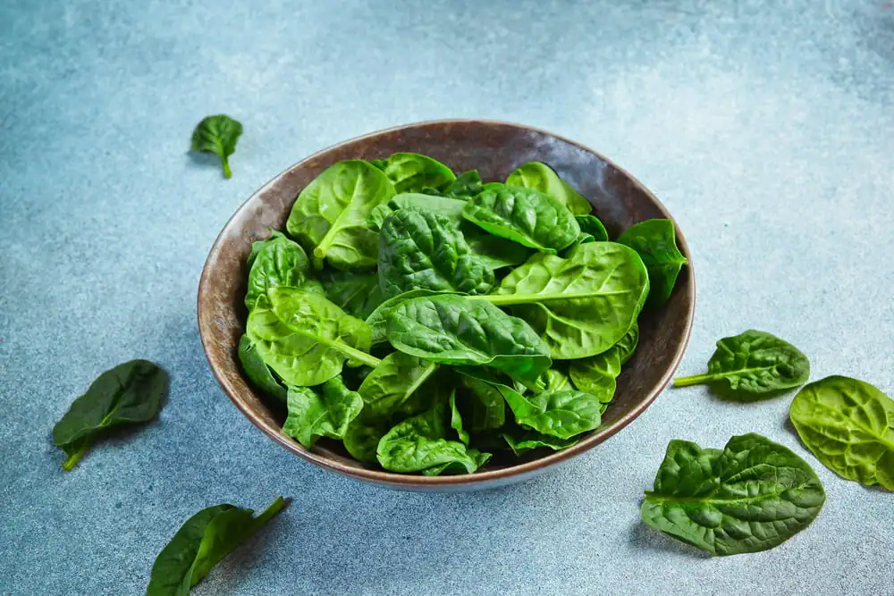 Épinards — calories et valeurs nutritionnelles (glucides, index glycémique)