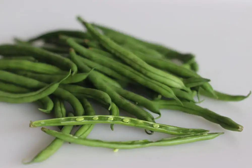 haricot vert calories valeurs nutritionnelles Haricot vert — calories et valeurs nutritionnelles (glucides, index glycémique)