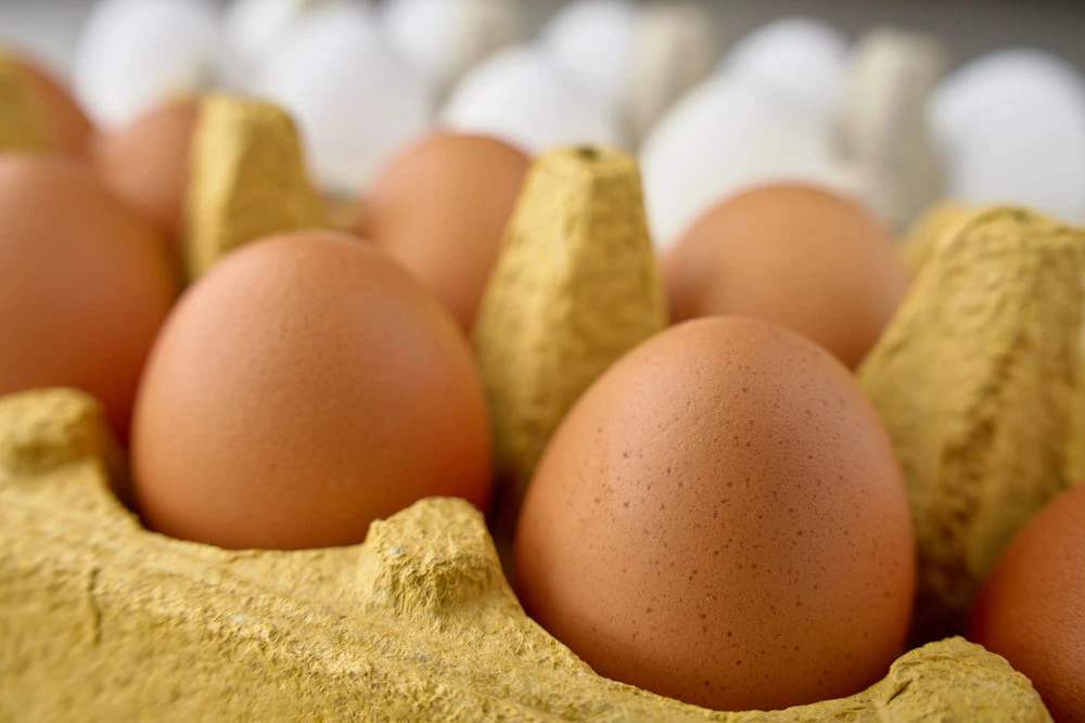 Œuf entier — calories et valeurs nutritionnelles (protéines, index glycémique)